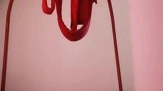 [短视频区] 叫声凄厉