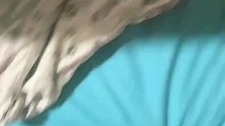 久久精品综合网中文字幕